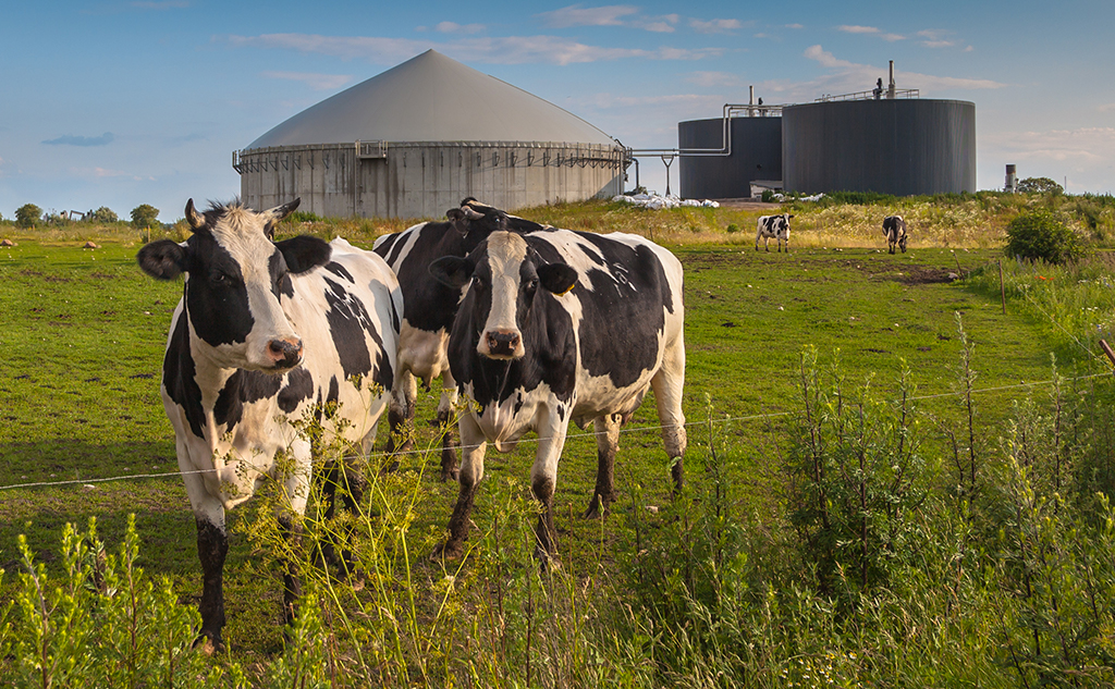 Projet de méthaniseur