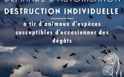 Autorisation de destruction à tir d’espèces susceptibles d’occasionner des dégâts pour la saison 2023-2024