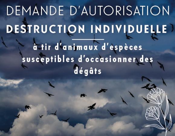 Autorisation de destruction à tir d’espèces susceptibles d’occasionner des dégâts pour la saison 2023-2024