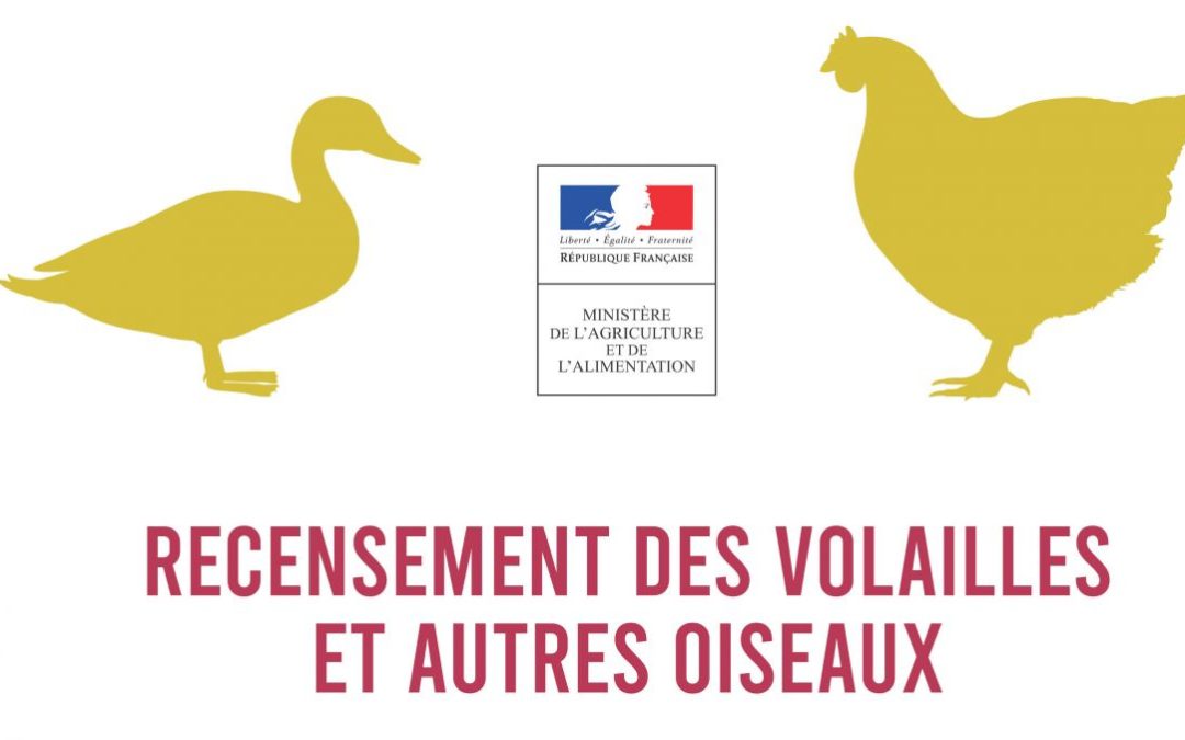 Déclarer la détention de volailles