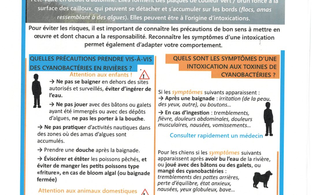 Baignade: soyez vigilant!