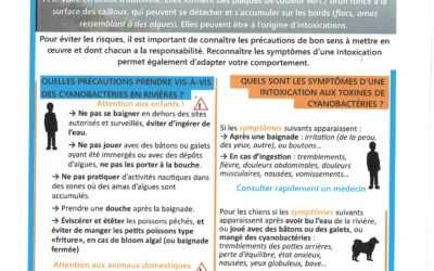 Baignade: soyez vigilant!