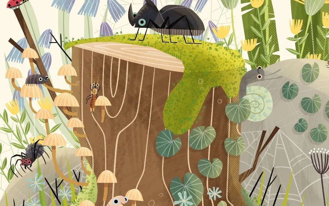Spectacle Le Chant des Insectes